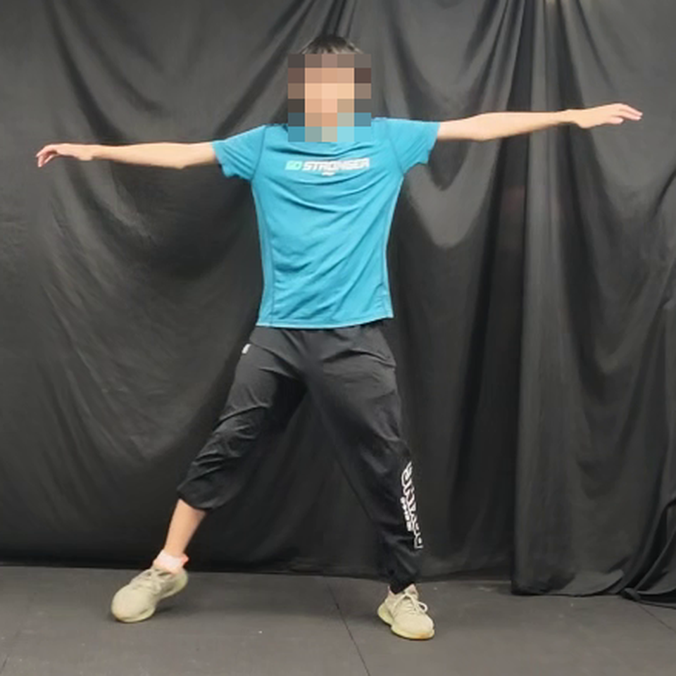 ONLINE MOTION: input