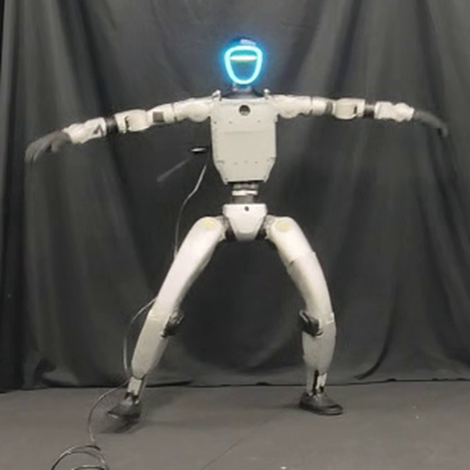 ONLINE MOTION: robot